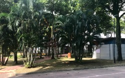 Blk 680 Choa Chu Kang Crescent (Choa Chu Kang), HDB 4 Rooms #165119572